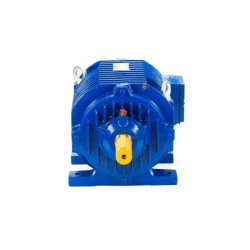Рольганговые электродвигатели ESQ 5ARM 64