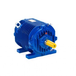 Рольганговые электродвигатели ESQ 5ARM 64