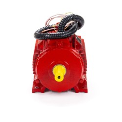 Электродвигатель ESQ 3.4-FR-400C-2hR IM 1081