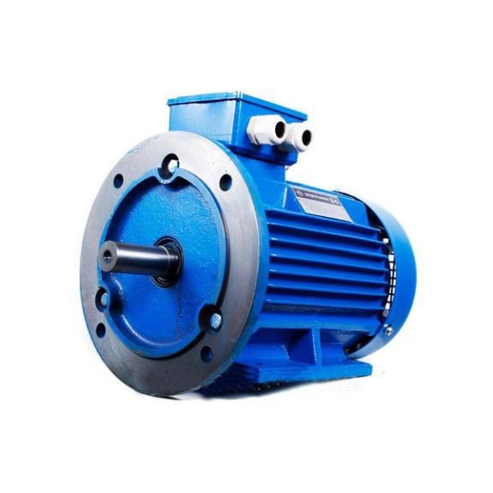 Электродвигатели стандарта DIN ESQ 355LA 8