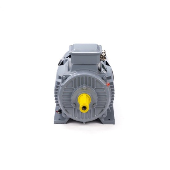 Электродвигатель ESQ PR 160 S4 GST-Б1-S12-IE2 IM 1001