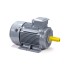Электродвигатель ESQ PR 160 S4 GST-Б1-S12-IE2 IM 1001