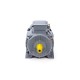 Электродвигатель ESQ PR 160 S6 GST-Б1-S12-IE2 IM 1001
