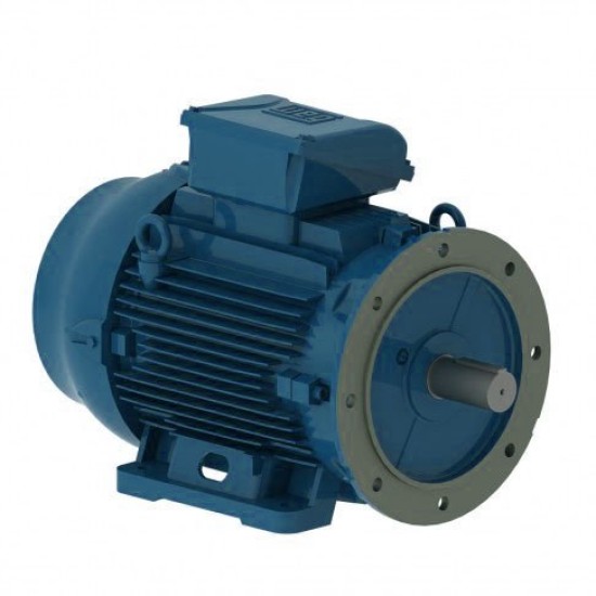 Электродвигатель W22 100L 4Р 2,2 кВт IM2081 220В/380В IP55 WEG IE1