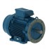 Электродвигатель W22 100L 4Р 2,2 кВт IM2081 220В/380В IP55 WEG IE1