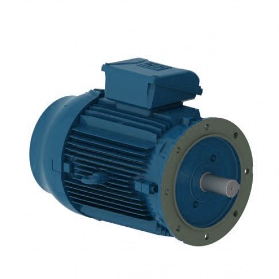 Электродвигатель W22 100L 4Р 2,2 кВт IM3081 220В/380В IP55 WEG IE1